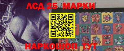 стаф Кинель