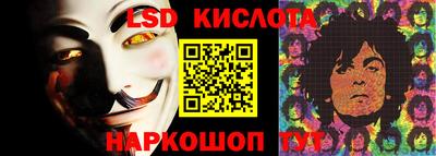 стаф Кинель