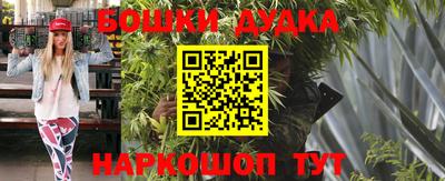 прущие крисы Кингисепп