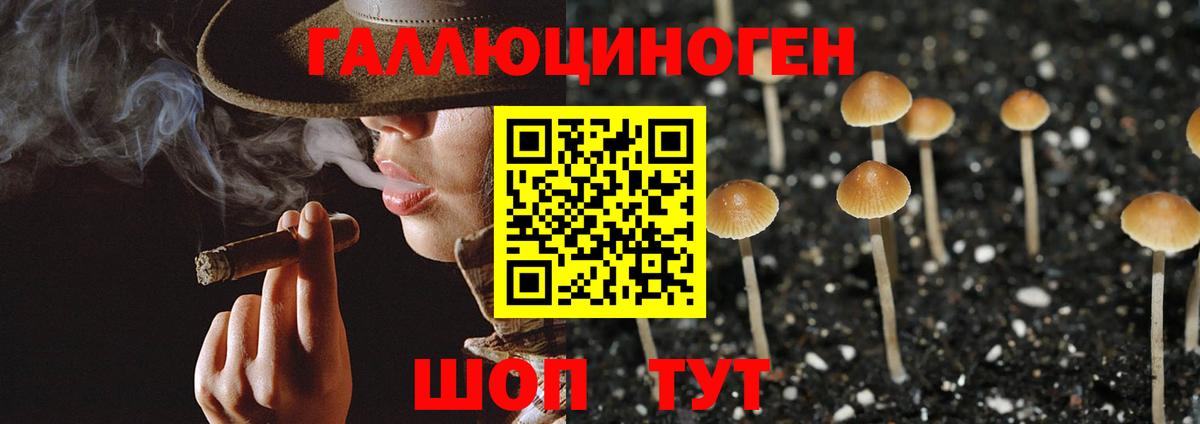 Галлюциногенные грибы Psilocybe  Вход с VPN  Чебоксары 